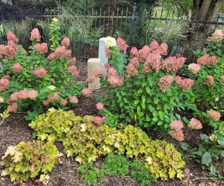 Ever Green Tree Services & Landscaping