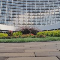 Beary Landscaping ico