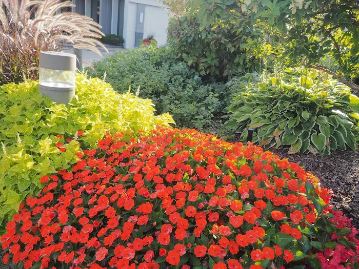 Beary Landscaping Picture 2