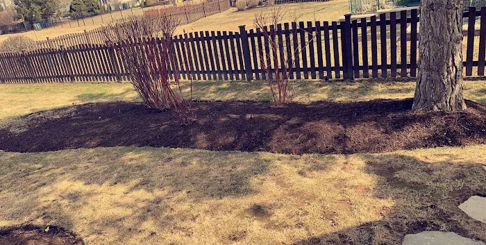 Solo landscaping INC Picture 6