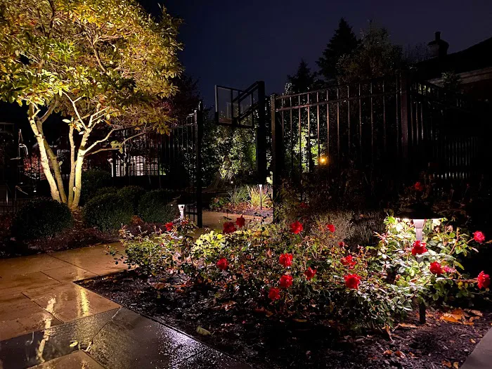 The Illuminators Outdoor Lighting Picture 8