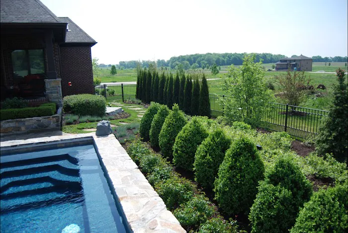 D K Landscape & Design Picture 8