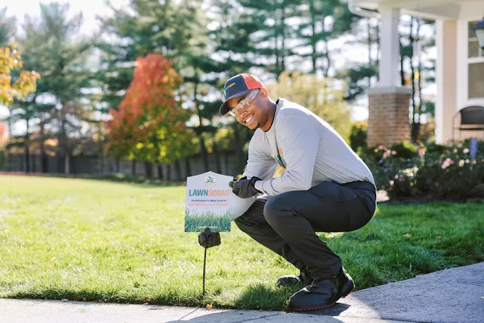 Lawn Squad of Aurora Picture 1