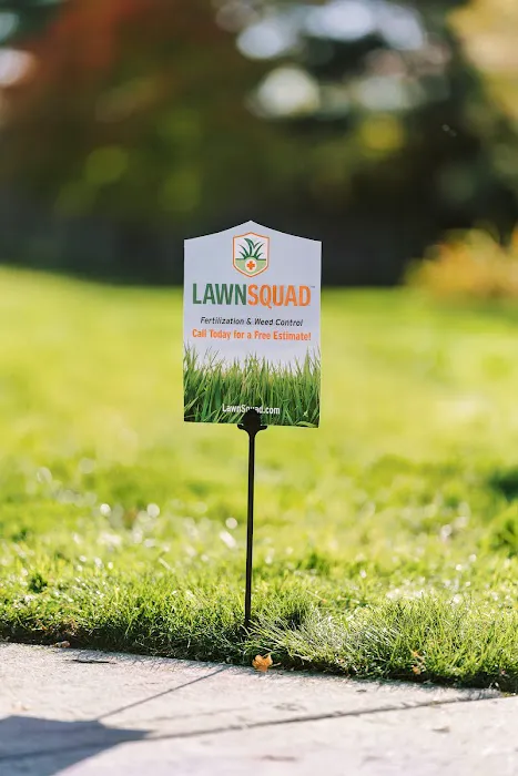 Lawn Squad of Aurora Picture 3