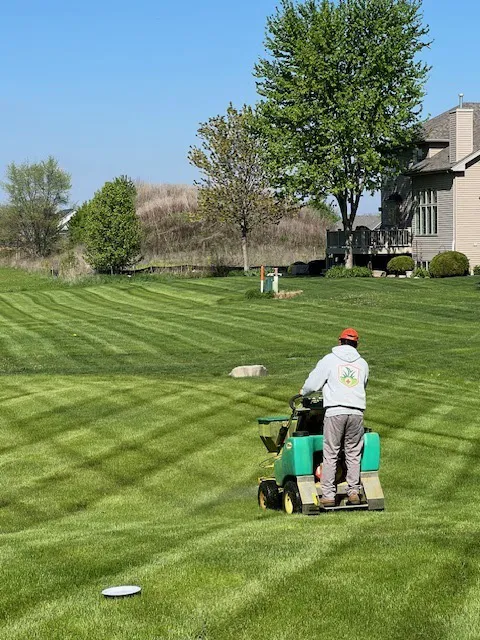 Lawn Squad of Aurora Picture 9