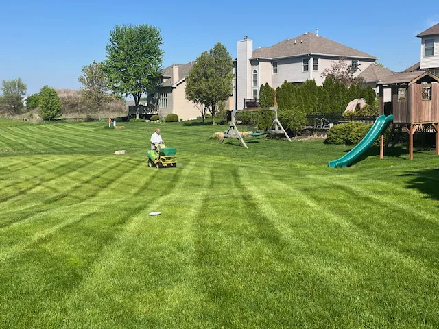 Lawn Squad of Aurora Picture 8