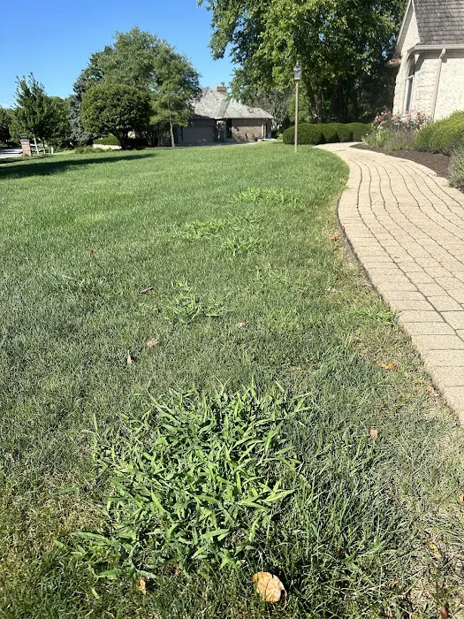 Naturescape Lawn and Landscape Care Picture 7