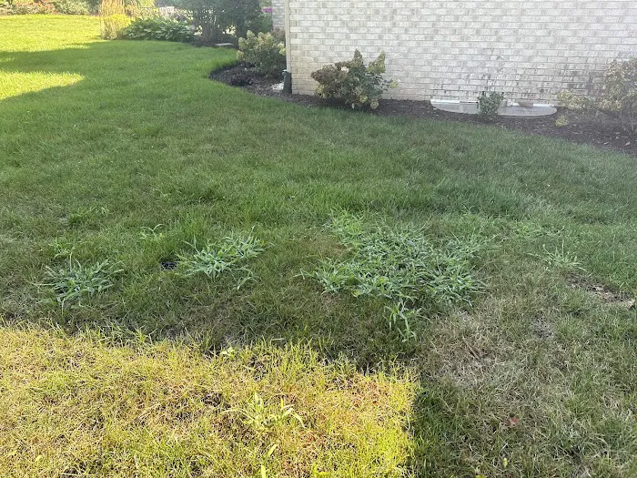 Naturescape Lawn and Landscape Care Picture 2