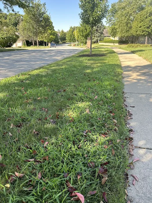 Naturescape Lawn and Landscape Care Picture 6