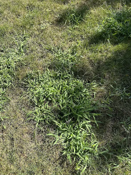 Naturescape Lawn and Landscape Care Picture 9