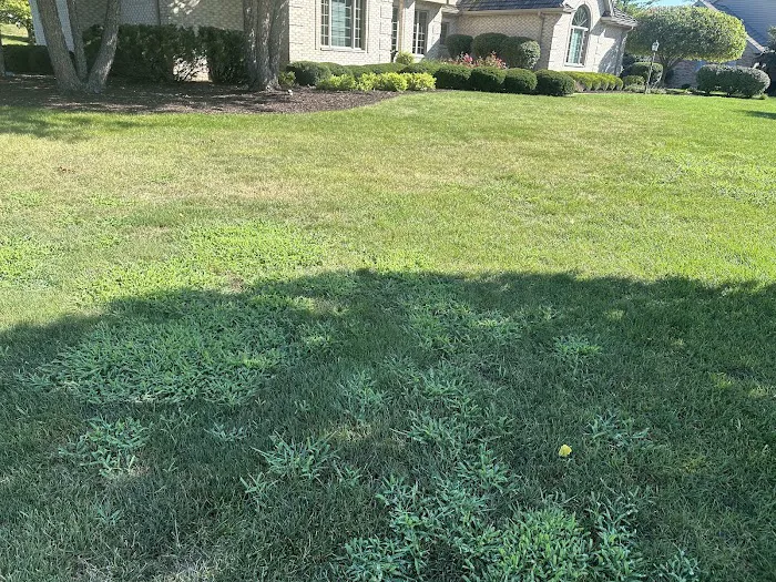 Naturescape Lawn and Landscape Care Picture 3