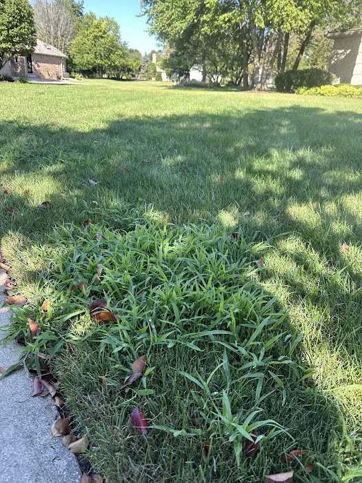 Naturescape Lawn and Landscape Care Picture 8