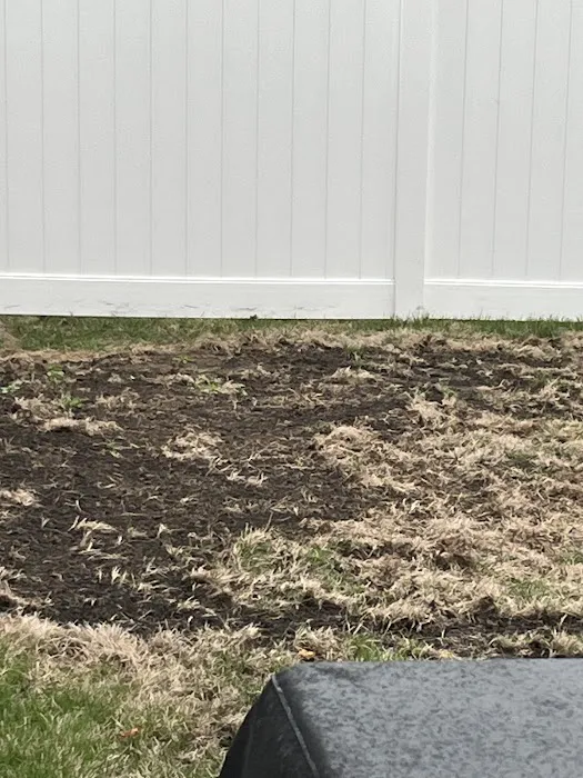 Naturescape Lawn and Landscape Care Picture 1