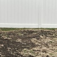 Naturescape Lawn and Landscape Care ico
