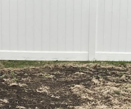 Naturescape Lawn and Landscape Care