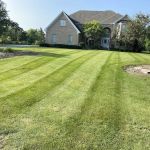 Mendoza Landscaping