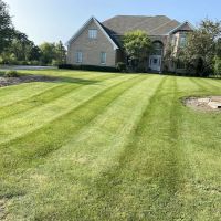Mendoza Landscaping ico