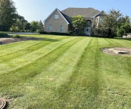 Mendoza Landscaping