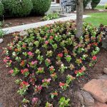 R. Duran's Landscaping Inc.