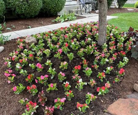 R. Duran's Landscaping Inc.