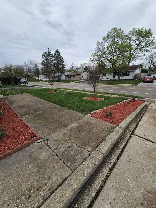 Cortez and Acevedo Landscaping and Tree Services Picture 4