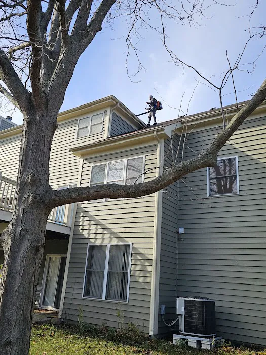 Cortez and Acevedo Landscaping and Tree Services Picture 7