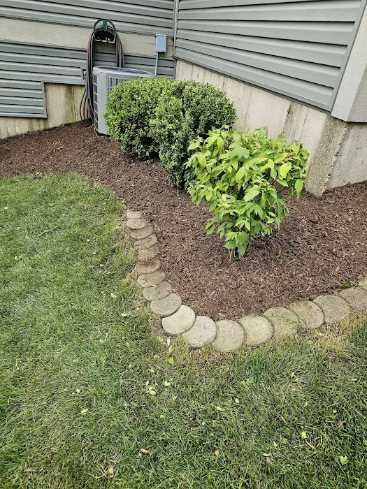Cortez and Acevedo Landscaping and Tree Services Picture 8