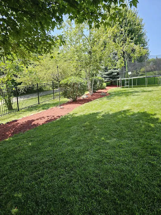 Cortez and Acevedo Landscaping and Tree Services Picture 10