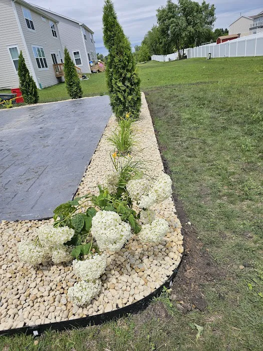 Cortez and Acevedo Landscaping and Tree Services Picture 1