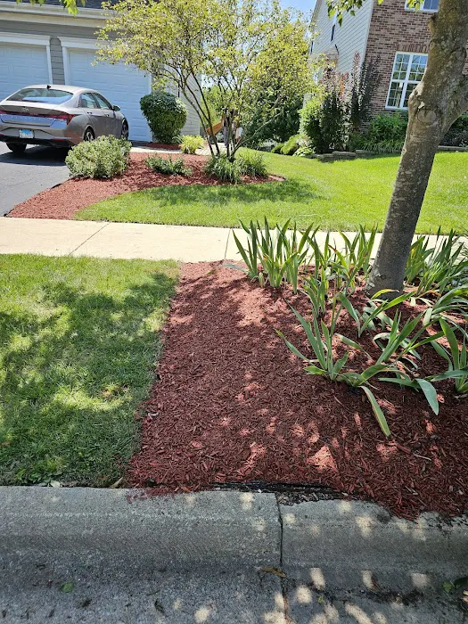 Cortez and Acevedo Landscaping and Tree Services Picture 9