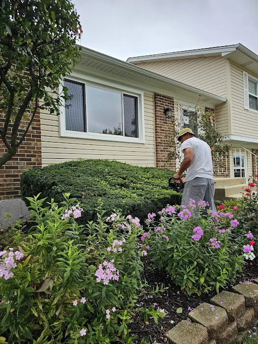Cortez and Acevedo Landscaping and Tree Services Picture 2