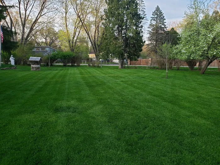 Juan Trejo & Son Landscaping Inc Picture 8
