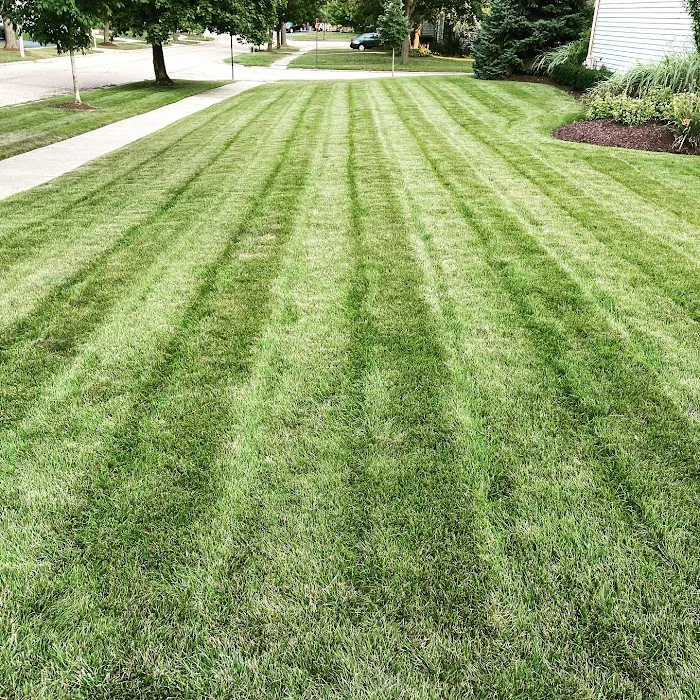 Intracut Landscaping Picture 1