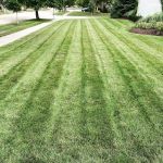 Intracut Landscaping