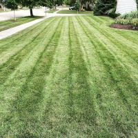 Intracut Landscaping ico