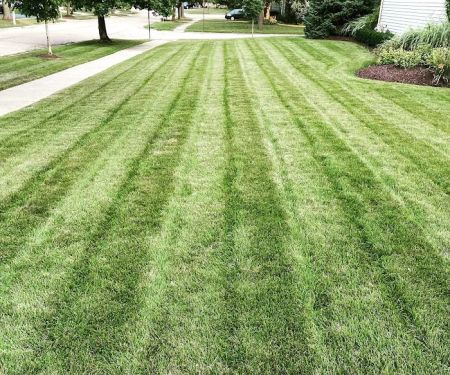 Intracut Landscaping