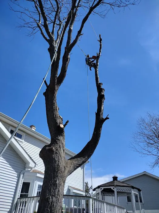 Black Creek Landscaping & Tree Services Picture 1