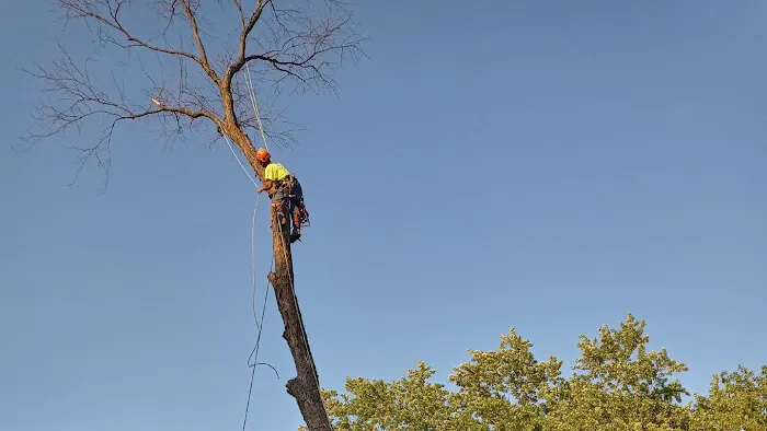 Black Creek Landscaping & Tree Services Picture 6