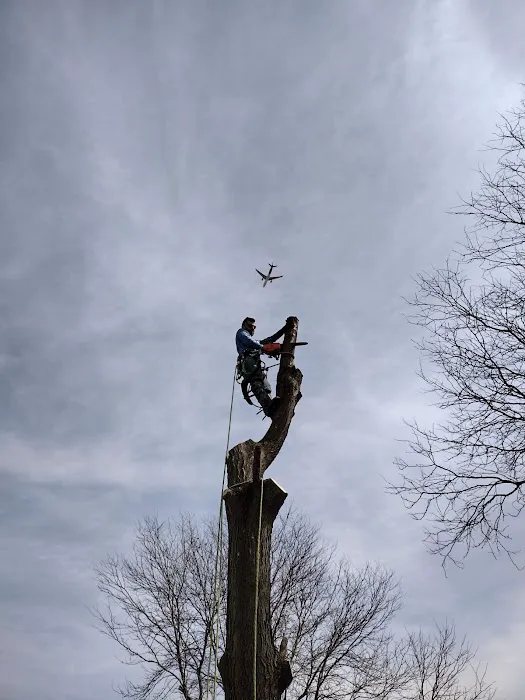 Black Creek Landscaping & Tree Services Picture 5