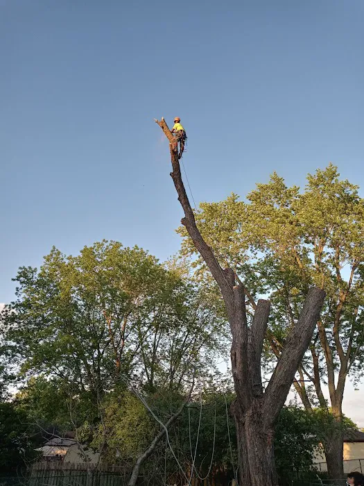 Black Creek Landscaping & Tree Services Picture 8