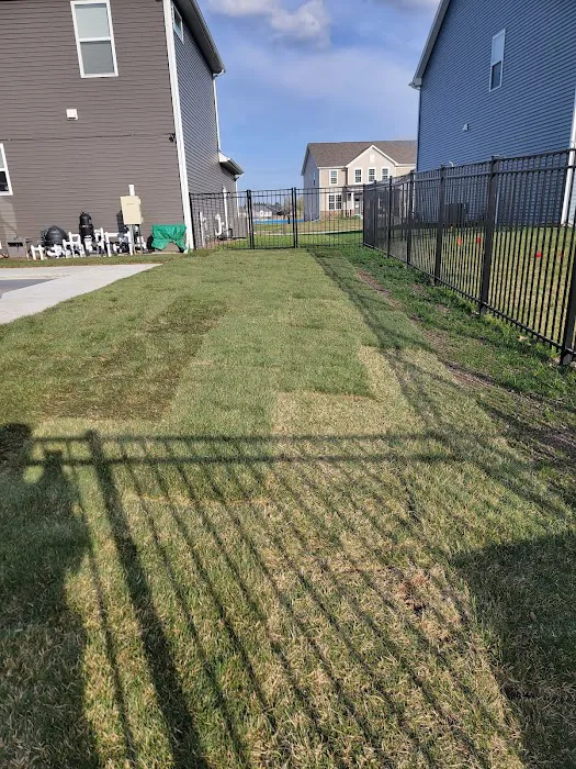 Black Creek Landscaping & Tree Services Picture 4