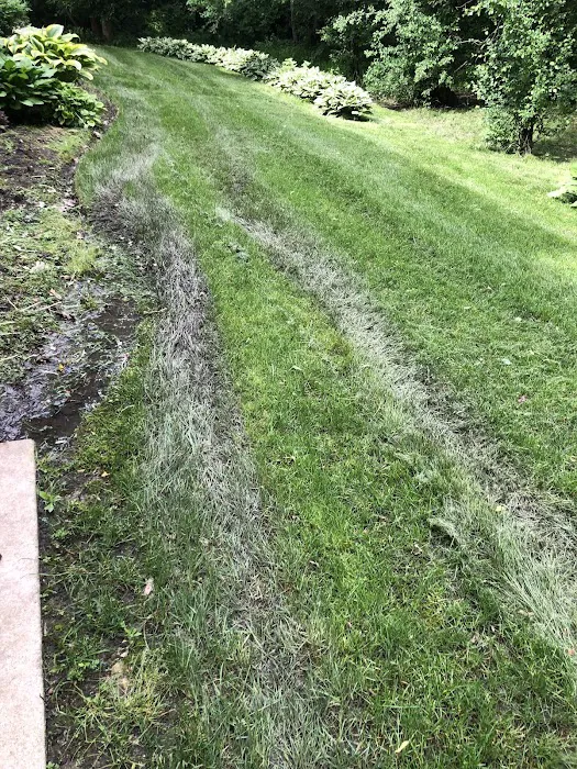 RYCO Landscaping Picture 3