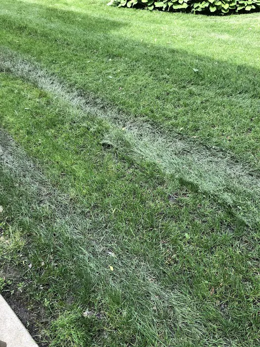RYCO Landscaping Picture 4