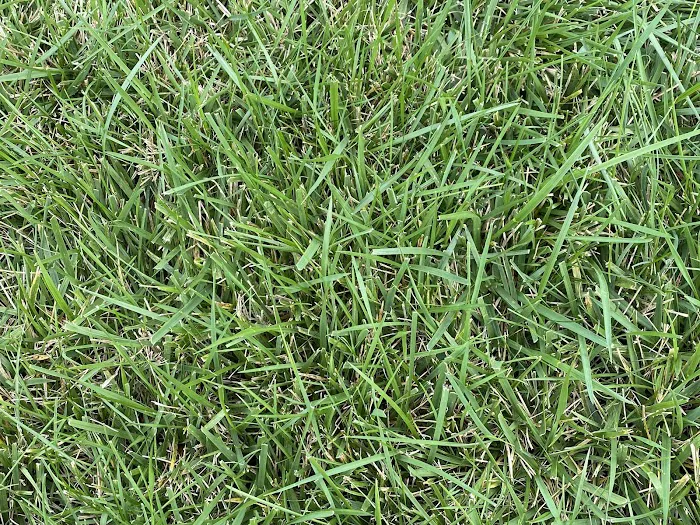 Turf Care Enterprises, Inc. Picture 10