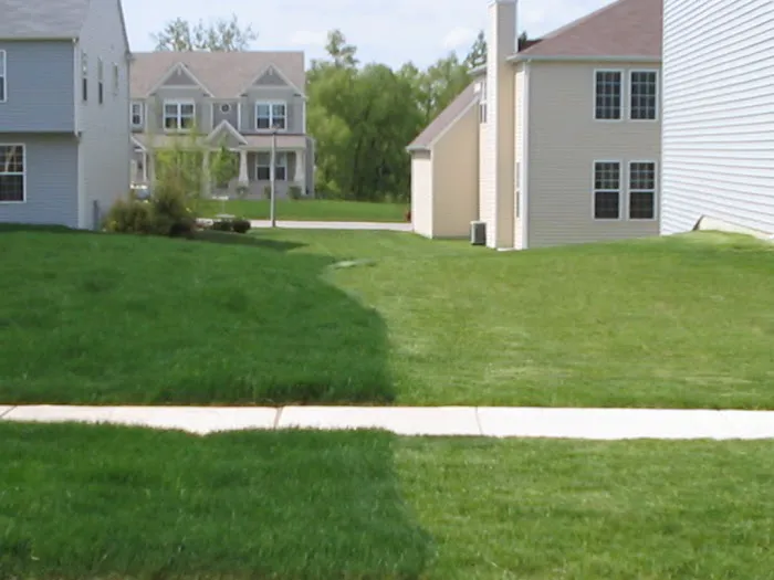 Turf Care Enterprises, Inc. Picture 8