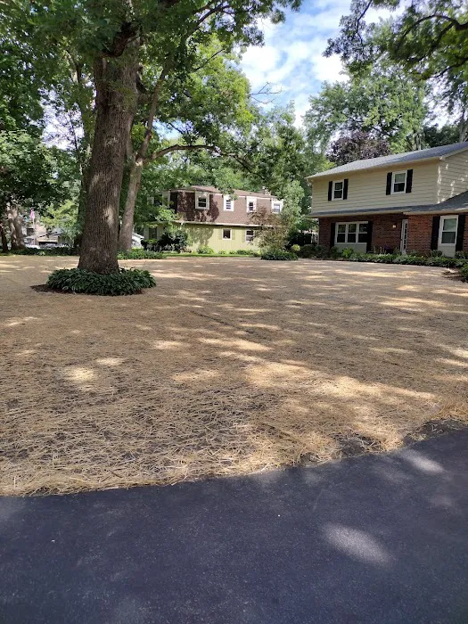 Gutierrez Landscaping / lawn maintenance Picture 2