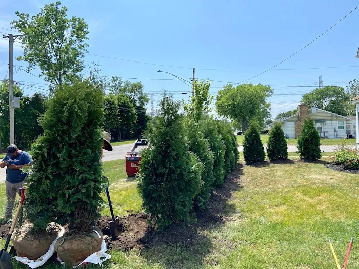 NR Landscaping Picture 1