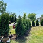 NR Landscaping
