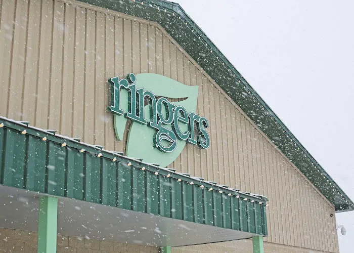 Ringers Landscape Services Picture 1