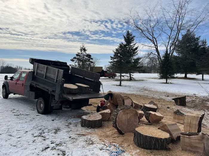 Balsis Lawn Care & Property Services Picture 6
